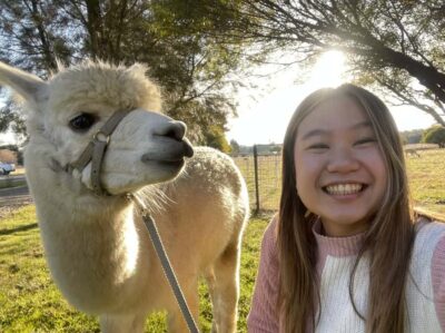 Canberra: Alpaca Adventure Farm Tour (morning tea included)