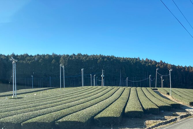 Ceramics and Green Tea Tour of Nagasaki and Saga Prefecture - Hasami’s Ceramics Park and the rural road