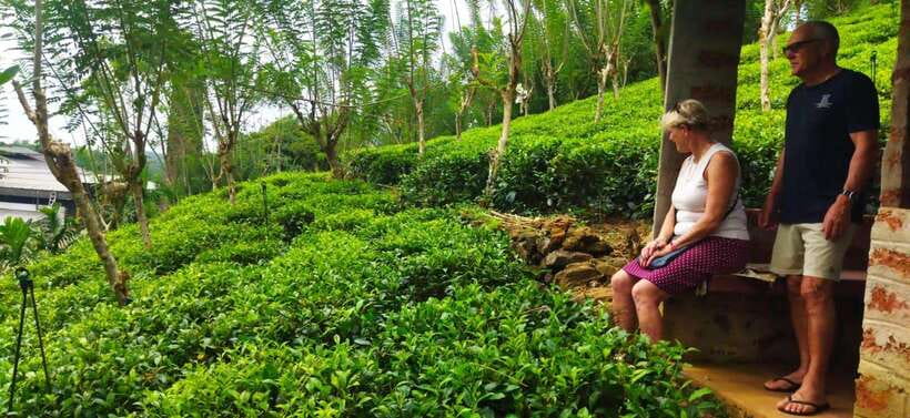 Ceylon Tea Experience from Colombo Port Passenger Terminal - Leaving Colombo Port for the countryside