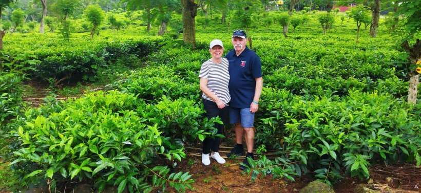 Ceylon Tea Experience from Colombo Port Passenger Terminal - Rayigam Tea Factory and the Ceylon tea story