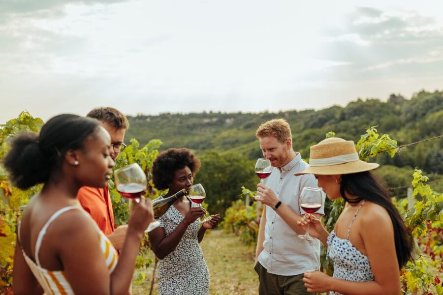 Charleston: Wadmalaw Island Wine Tasting and Tea Garden Trip - Key points at a glance