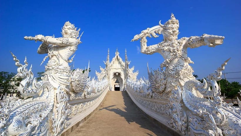 Chiang Rai: 7 Major Sites, Golden Triangle & Tea Plantation - Chui Fong Tea Plantation: a welcome change of pace
