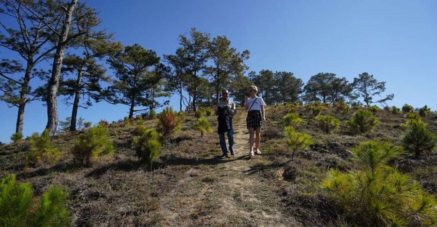 Coffee - Wine - Tea Da Lat's Agricultural Treasures Tour - Key points at a glance