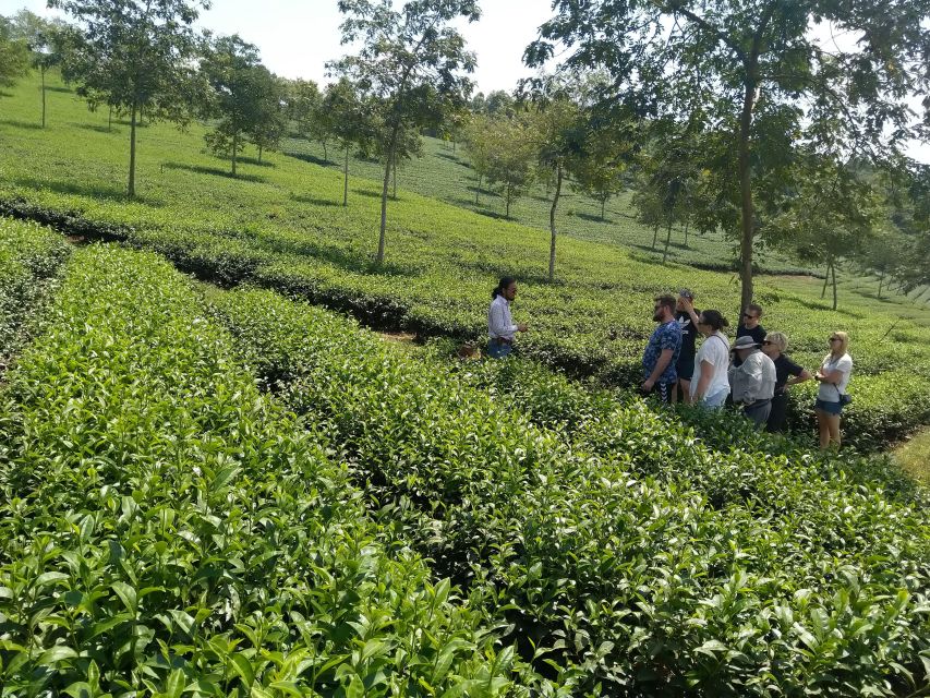 Coffee - Wine - Tea Da Lat's Agricultural Treasures Tour - Practical advice before you go
