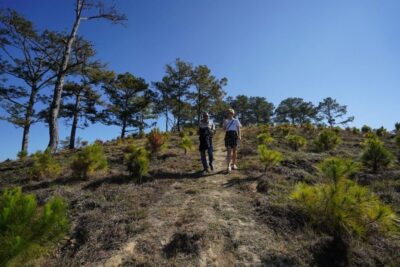 Coffee – Wine – Tea Da Lat’s Agricultural Treasures Tour