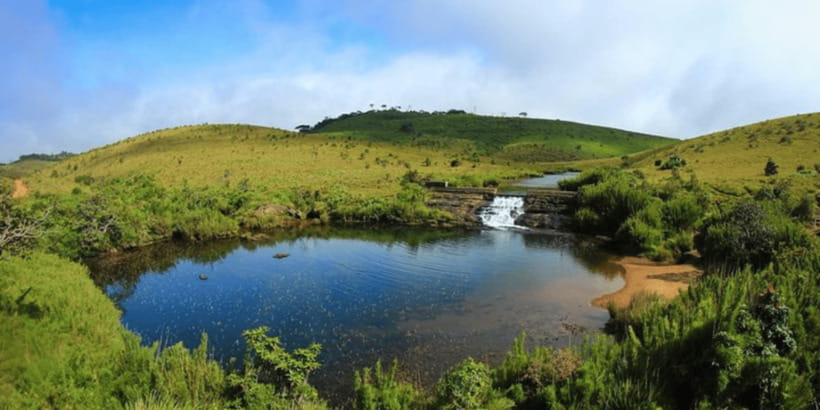Comprehensive Excursion: Horton Plains and Pedro Tea Factory - Leaving Nuwara Eliya before the crowds