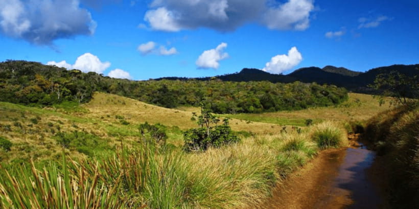 Comprehensive Excursion: Horton Plains and Pedro Tea Factory - Is $125 per person good value?