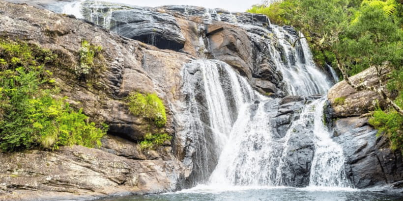 Comprehensive Excursion: Horton Plains and Pedro Tea Factory - Who will enjoy this excursion most?