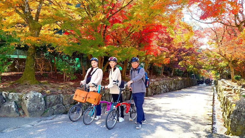 Cycling Tour at Uji's Matcha Green Tea Fields and Heritage - Why a bicycle is the right way to see Uji