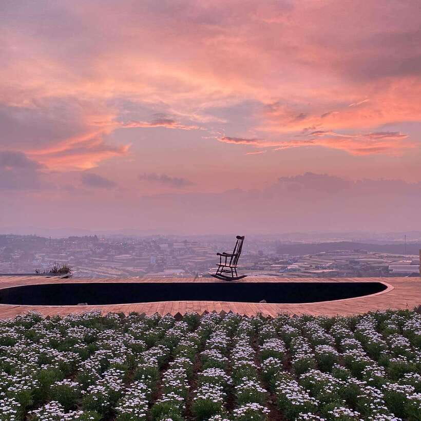 Da Lat: Sunrise Panorama, Green Tea Hill and Strawberry Farm - Why This Da Lat Morning Works