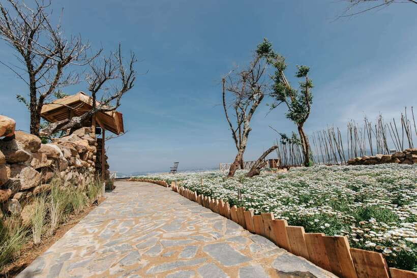 Da Lat: Sunrise Panorama, Green Tea Hill and Strawberry Farm - Timing, Transport, and Comfort