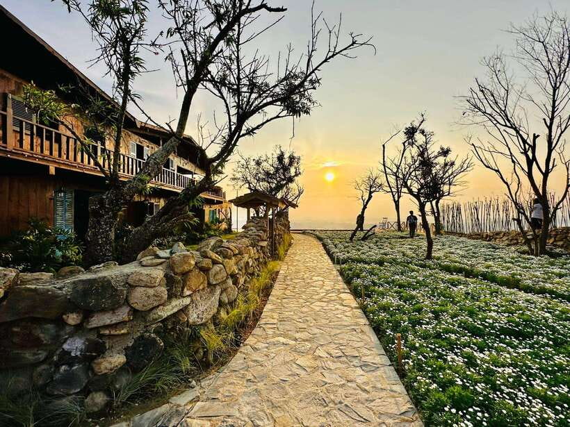 Da Lat: Sunrise Panorama, Green Tea Hill and Strawberry Farm - Catching the Clouds at Cau Dat Panorama