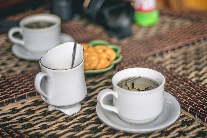 Day Tour To Kiambethu Tea Farm in Limuru - Gardens, birds, and a slower pace