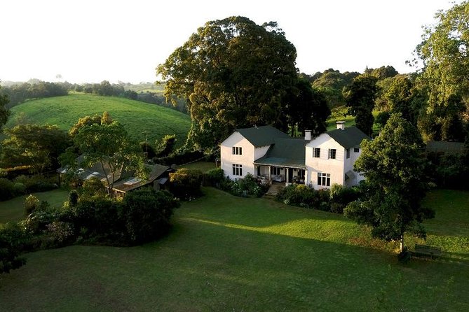 Day Tour To Kiambethu Tea Farm in Limuru - Practical details that can affect your day