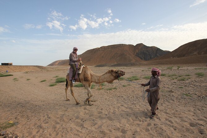 Desert Sunset Camel Ride With Free Tea in The Desert Camp - How the timing works from 4:30 pm to about 9 pm