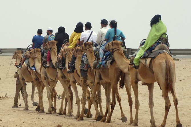 Desert Sunset Camel Ride With Free Tea in The Desert Camp - Practical advice before you book