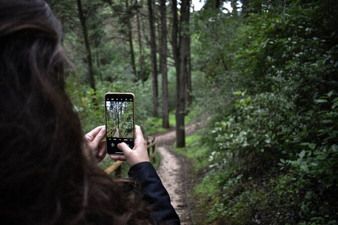 Discover the Lake Agnes Tea House Trail with an Audio Nature Tour - Forest, wildlife, and the uphill switchbacks