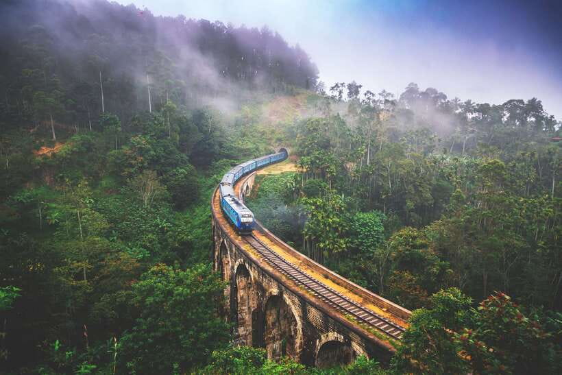 Ella Day Tour with Scenic Train Ride & Tea Plantation Visit - Udawalawe Elephant Transit Home