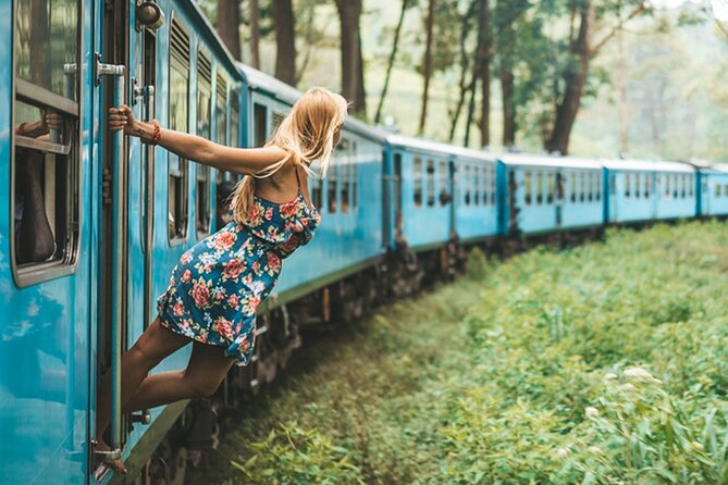 Ella Private Day Trip with Train Ride & Tea Factory-All Inclusive - Why this day trip works from Bentota