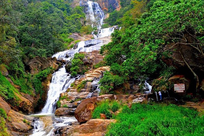 Ella Private Day Trip with Train Ride & Tea Factory-All Inclusive - The Nine Arch Bridge is the photographic highlight