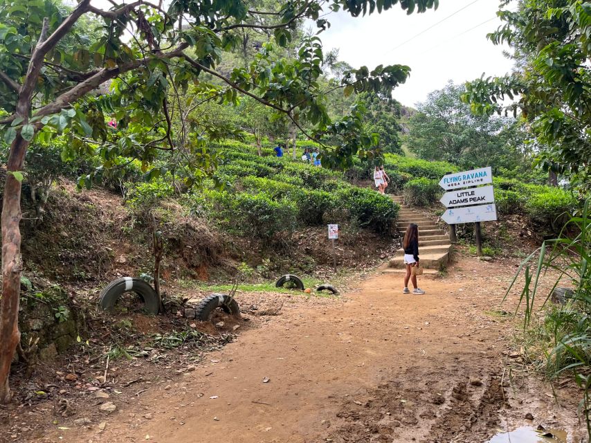 Ella: Tea Factory, Train, and Nine Arch Day Tour with Pickup - Flying Ravana Mega Zipline: optional thrills at extra cost