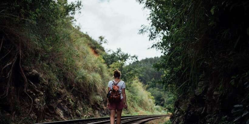 Ella: Tea Factory, Train, and Nine Arch Day Tour with Pickup - The road to Ella: useful, but long