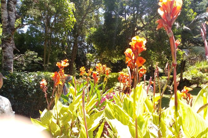 Excursion to Kiambethu Tea Farm - Is $140 a fair price?