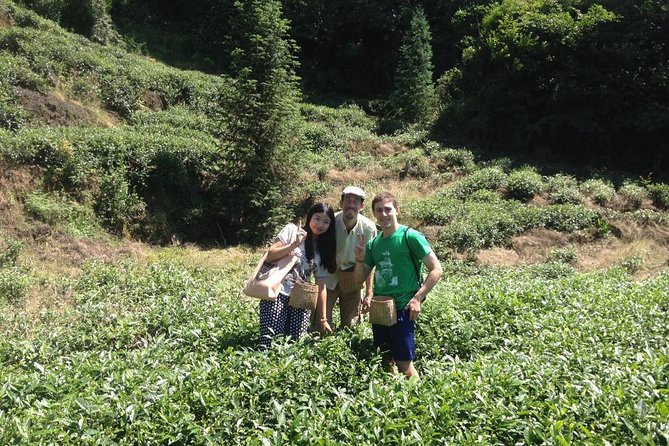 Experience Chengdu: Private Tea-Making Day Tour of Mengdingshan Tea Plantation - The two-hour ride from Chengdu