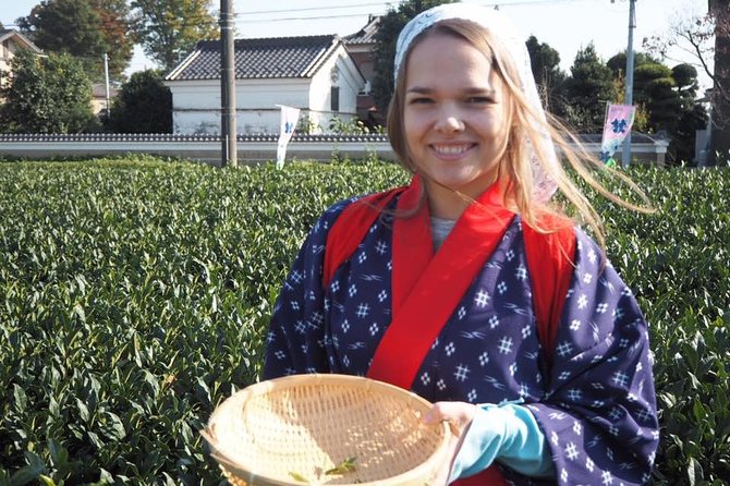 Experience Seasonal Green Tea Picking in Sayama and Nostalgic Walk in Kawagoe! - Candy Alley and the pleasures of a slow walk