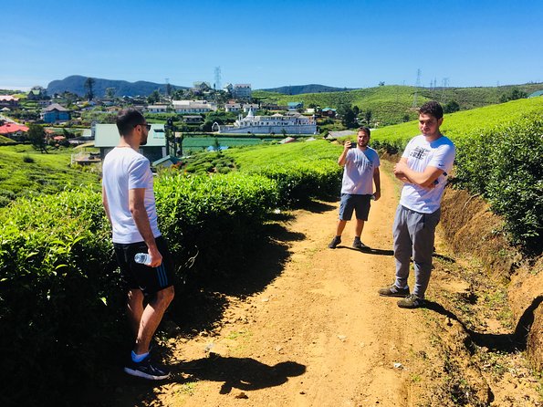 Explore Nuwara Eliya | Experience the Best Tea in the World - Why tea makes Nuwara Eliya special