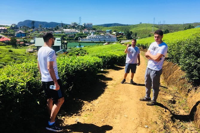 Explore Nuwara Eliya - Waterfall & Tea Factory Tour - Key things to know before you book