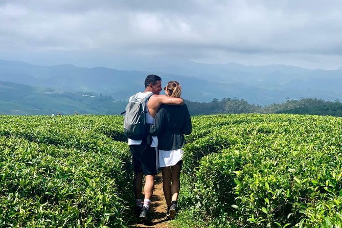 Explore Nuwara Eliya - Waterfall & Tea Factory Tour - Private transport and the value of the $42 price