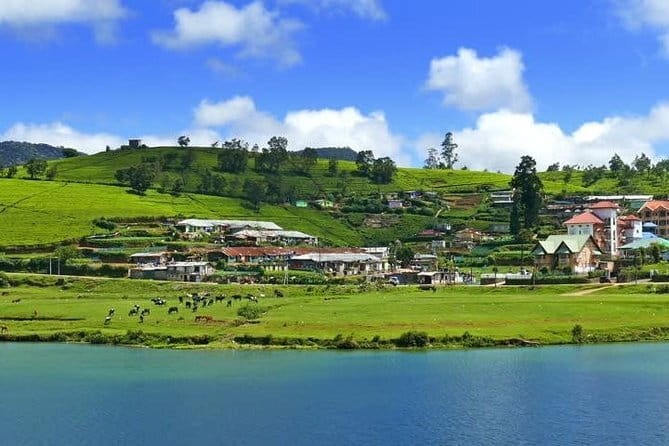 Explore Nuwara Eliya - Waterfall & Tea Factory Tour - Single Tree Hill and Nuwara Eliya from above