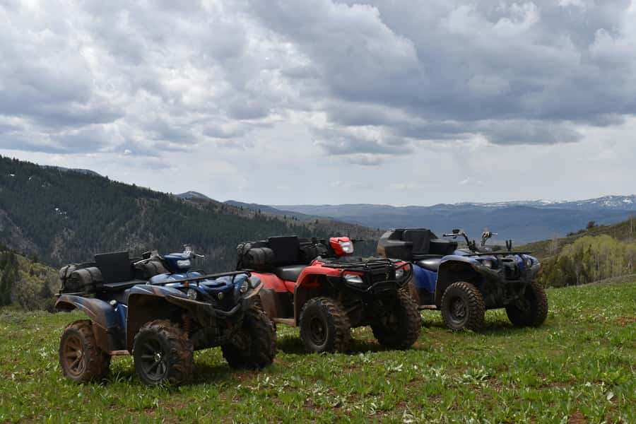 Fez Outdoor Adventure: Quad Ride, Camel Photo & Mint Tea - A one-hour quad ride on rugged trails