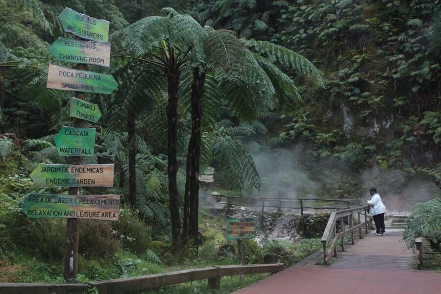Fire Lake & Tea Factory & Pinneaple - Why this São Miguel half-day tour works