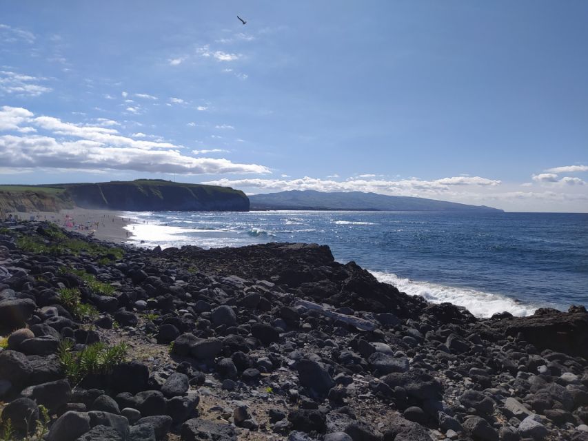 Fire Lake & Tea Factory & Pinneaple - Pineapple plantations and the first taste of São Miguel