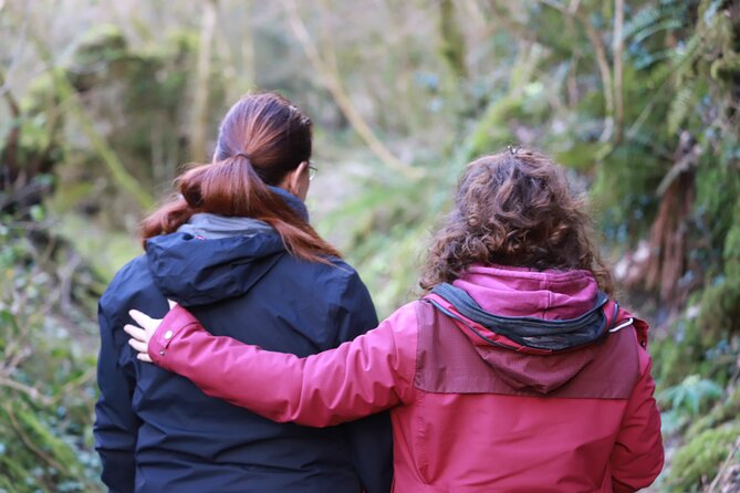 Forest Bathing in Tuscany with Wild Crafted Tea - The sounds, smells, and silences of the forest