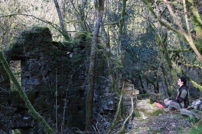 Forest Bathing in Tuscany with Wild Crafted Tea - What the private format changes