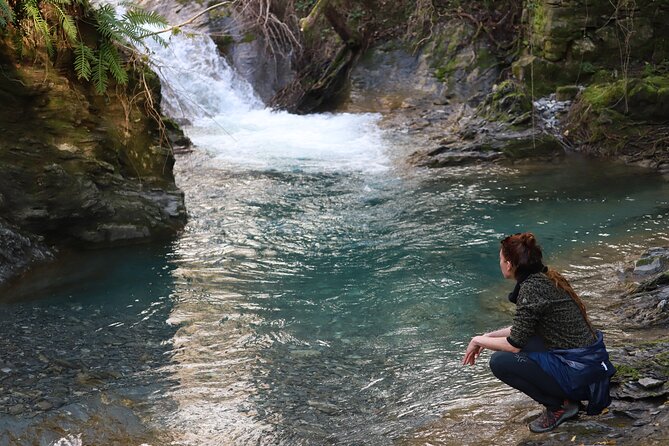 Forest Bathing in Tuscany with Wild Crafted Tea - Who will enjoy this most