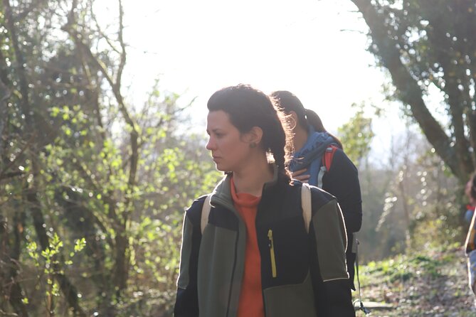 Forest Bathing in Tuscany with Wild Crafted Tea - Timing, weather, and cancellation details