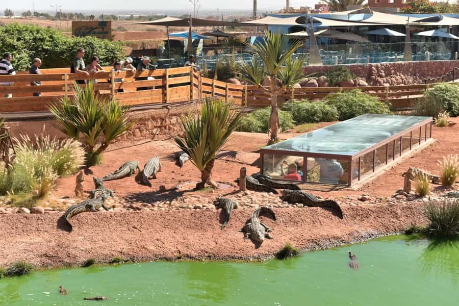 From Agadir/Taghazout: Buggy Safari Adventure & Moroccan Tea - Getting comfortable under the Berber tent