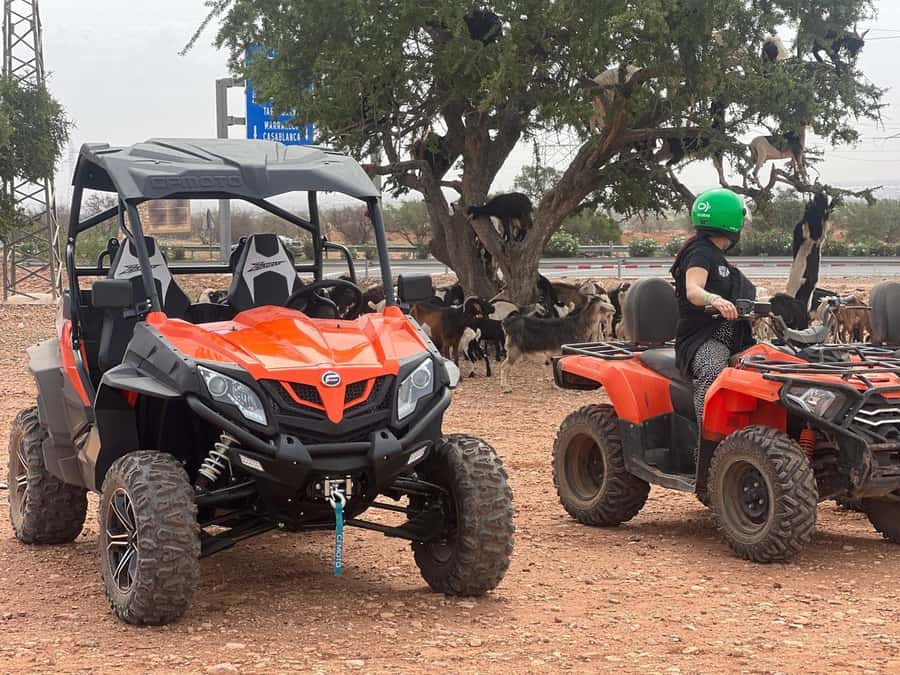 From Agadir/Taghazout: Buggy Safari Adventure & Moroccan Tea - Two hours over rocky ground and dusty tracks