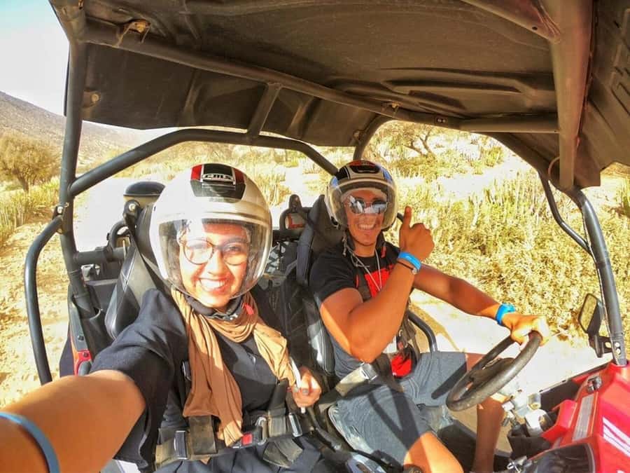 From Agadir/Taghazout: Buggy Safari Adventure & Moroccan Tea - The argan-tree goats and photo stop