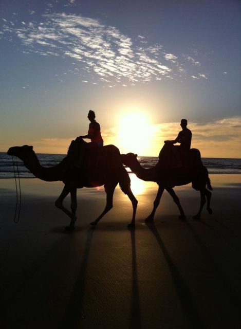 From Agadir/Taghazout: Buggy Safari Adventure & Moroccan Tea - Mint tea in the shade of a Berber tent