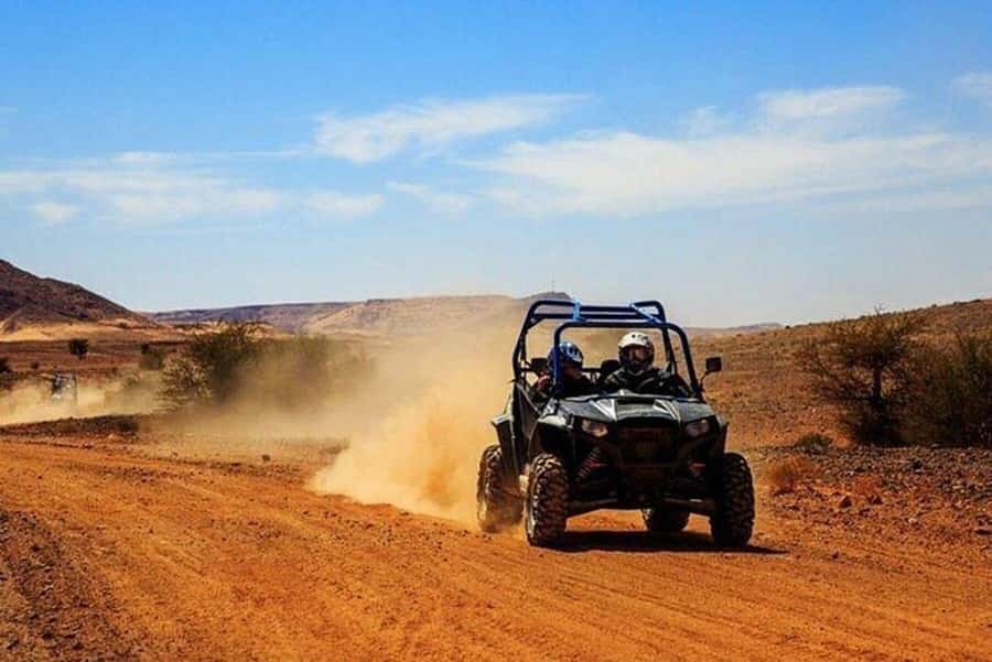 From Agadir/Taghazout: Buggy Safari Adventure & Moroccan Tea - Who will enjoy this outing most?