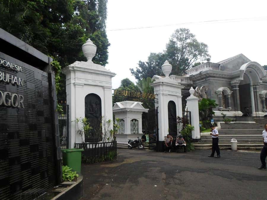 From Bandung: Tea Plantation and Botanical Garden Tour - Why this Bandung to Jakarta route makes sense
