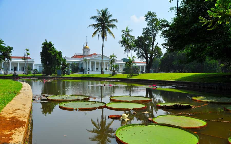 From Bandung: Tea Plantation and Botanical Garden Tour - Puncak tea country and the 2,551-hectare estate