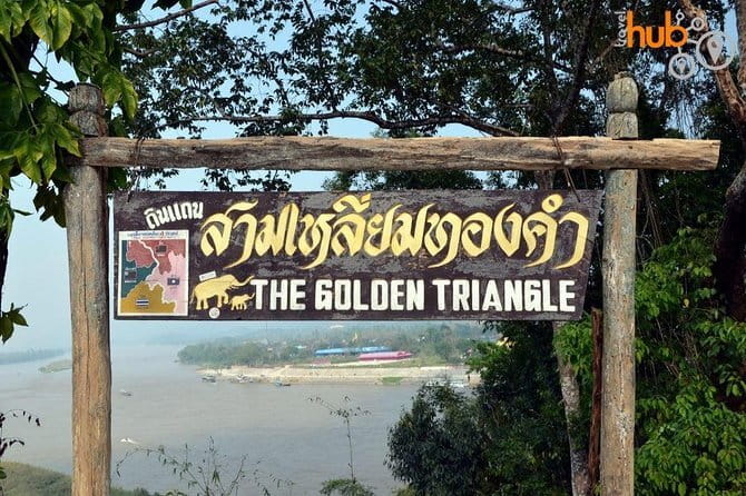 From Chiang Rai: 3 Temples, Golden Triangle Tour, Tea Plantation - Chui Fong Tea Plantation closes the route on a gentler note
