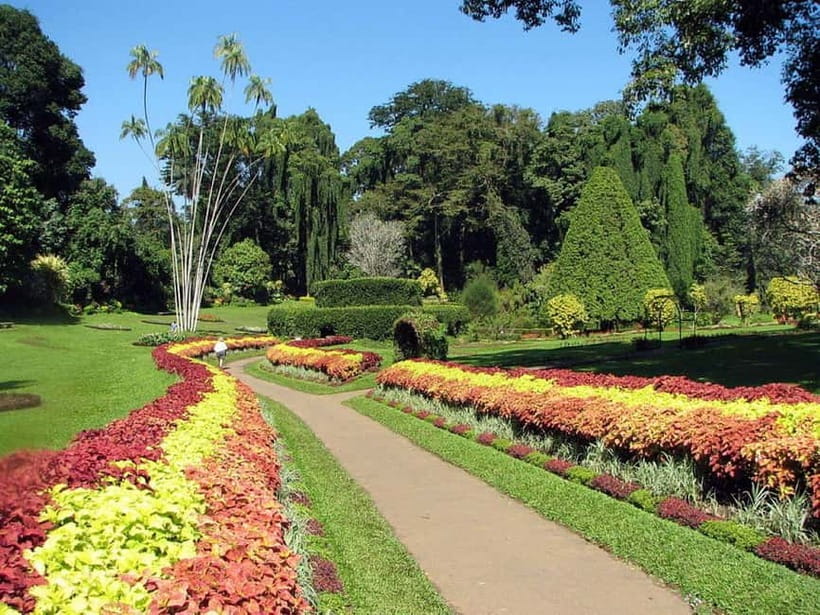 From Colombo: Kandy, Pinnawala and Tea Factory Full-Day Trip - The spice and herbal garden