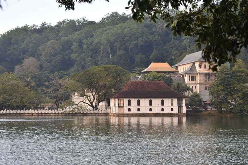 From Colombo: Kandy, Pinnawala and Tea Factory Full-Day Trip - Lunch above Kandy